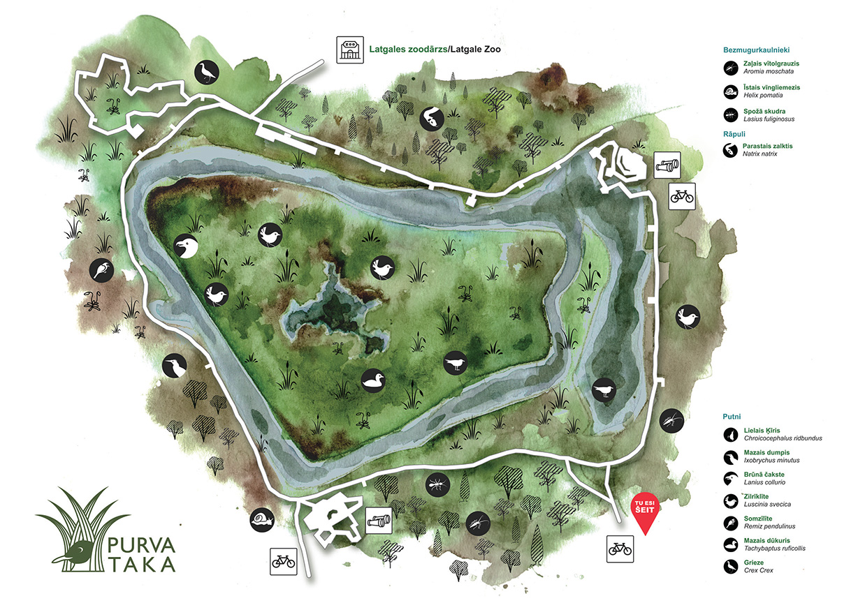 “Purva takas” vizuālā identitāte, 2024